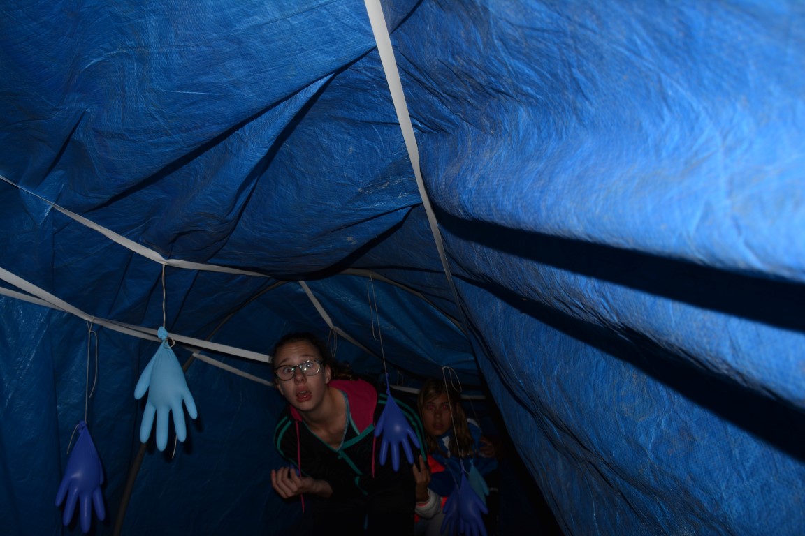 DSC_0848 (Medium).JPG